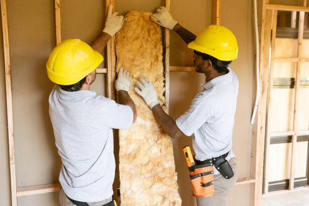 Best Insulation Air Sealing  in Manassas, VA