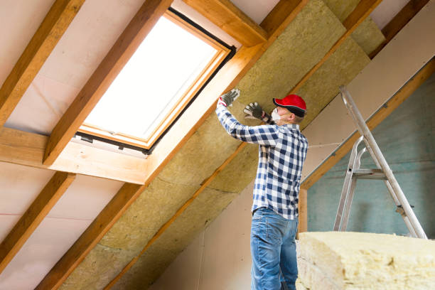 Best Insulation for New Construction  in Manassas, VA